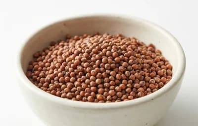 tender sorghum grains