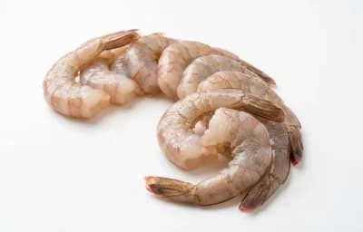 shrimp