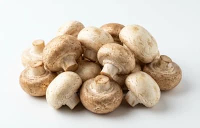 button mushrooms