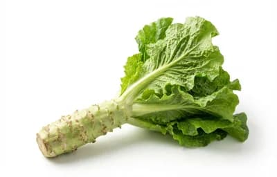 raw celtuce