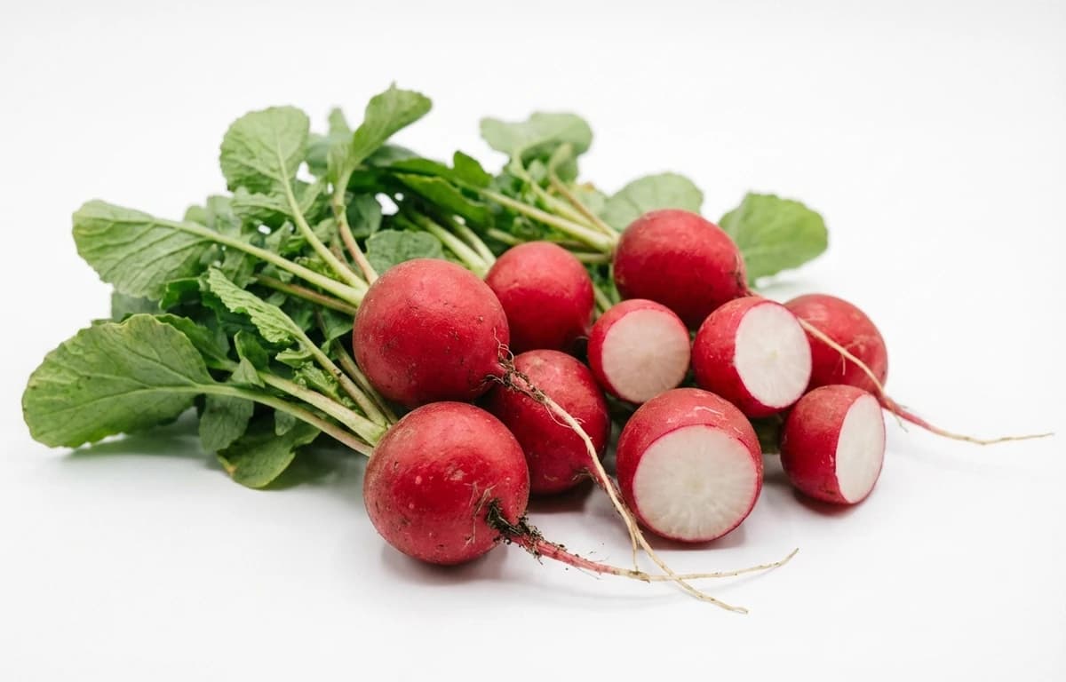 radish