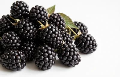 black berry