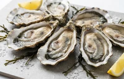 rock oysters