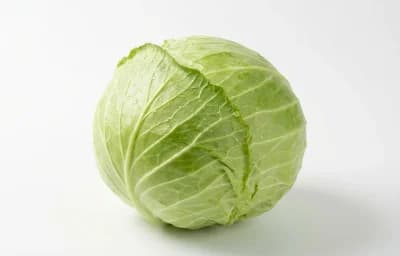 raw cabbage