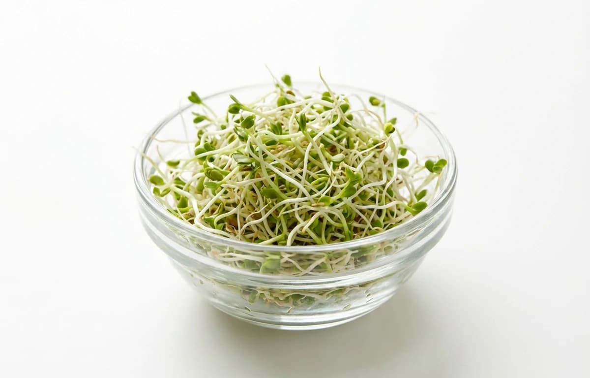 raw sprouted alfalfa seeds