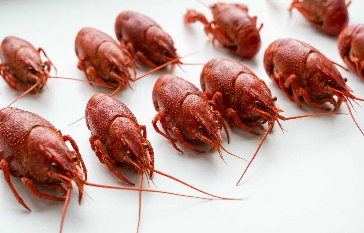 crawfish heads