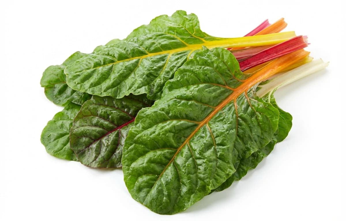 boiled unsalted swiss chard