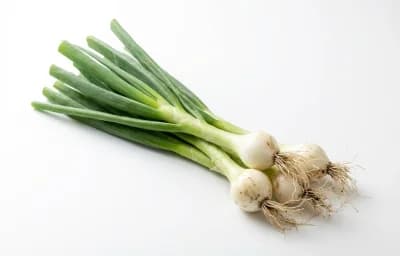 raw welsh onion