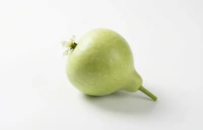 raw white-flowered gourd