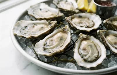 oysters