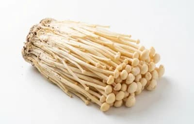 enoki mushroom
