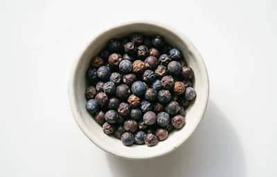 juniper berries