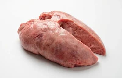 sheep lungs