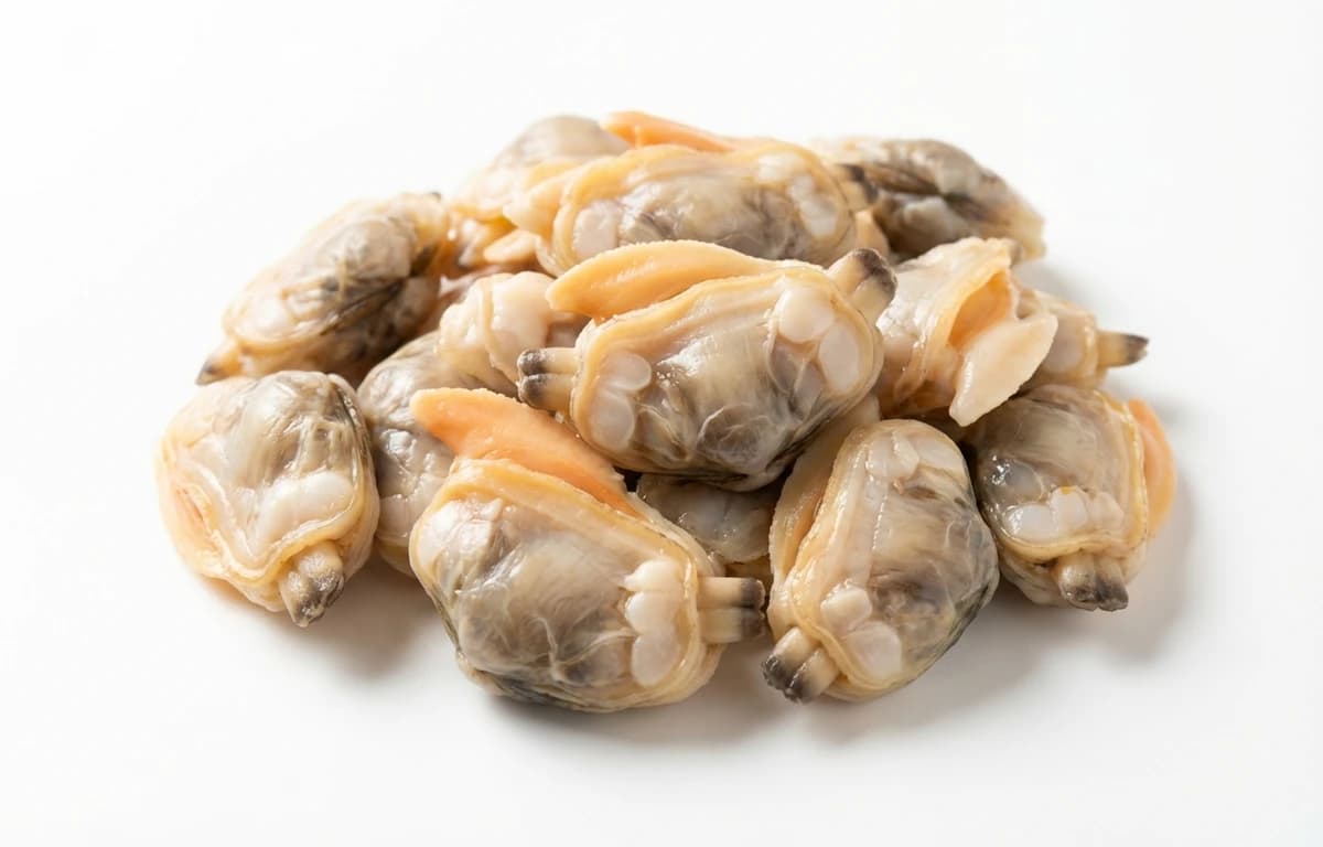 clam meat