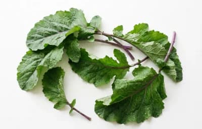 kohlrabi greens