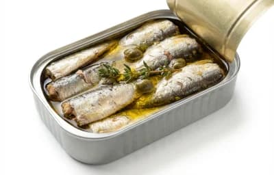 canned atlantic sardine