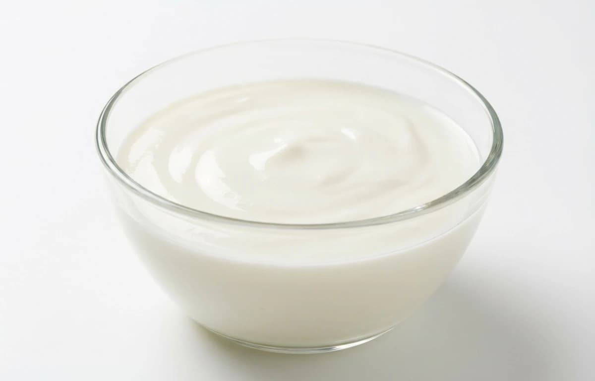 nonfat plain yogurt