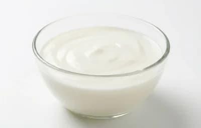 nonfat plain yogurt