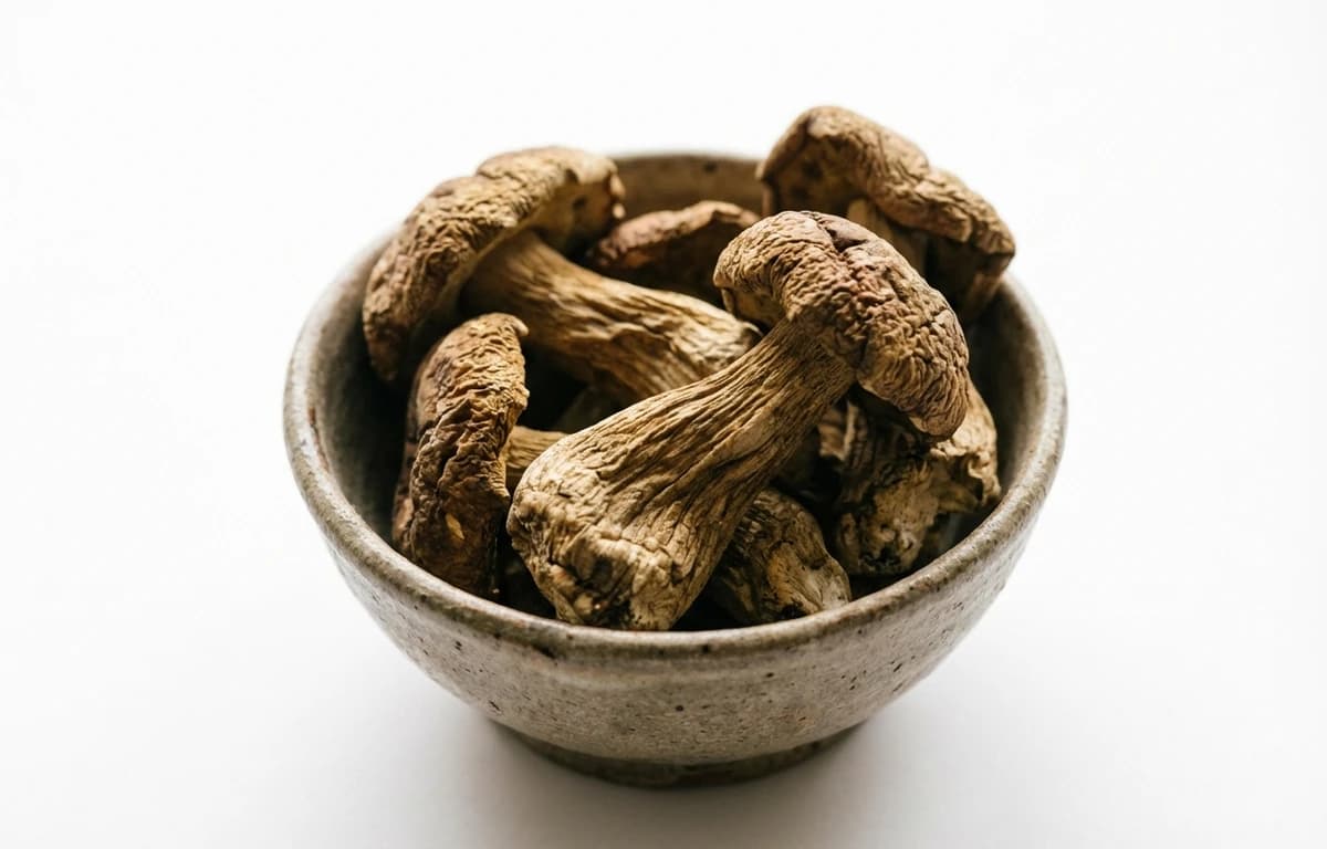 Dried Porcini Mushrooms