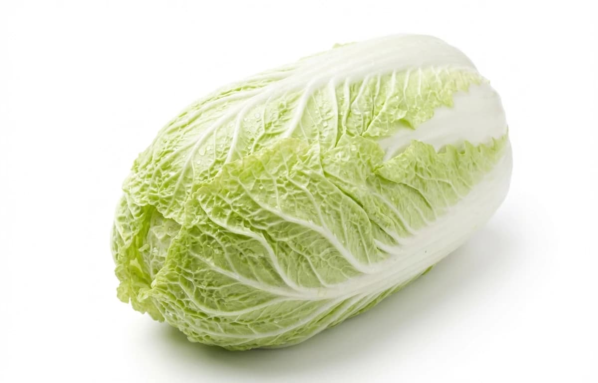 napa cabbage