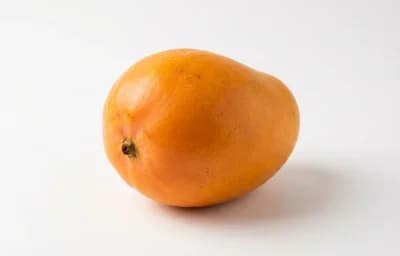 ripe kesar mango