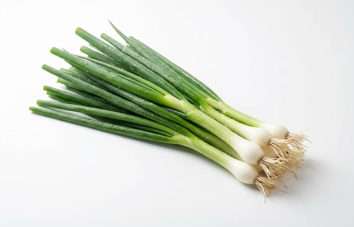 scallion