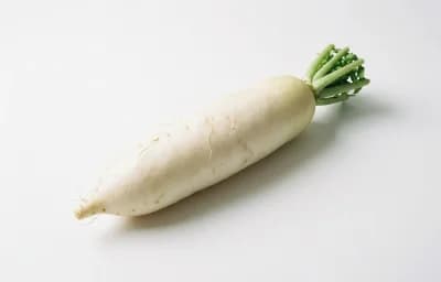 elongate white skin radish