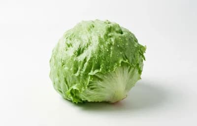 iceberg lettuce