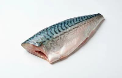 raw spanish mackerel