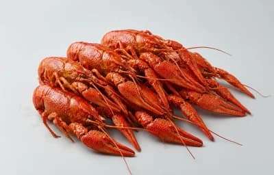 cooked wild crayfish