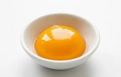 large egg yolk