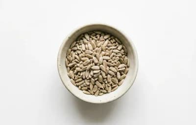 raw shelled sunflower seeds