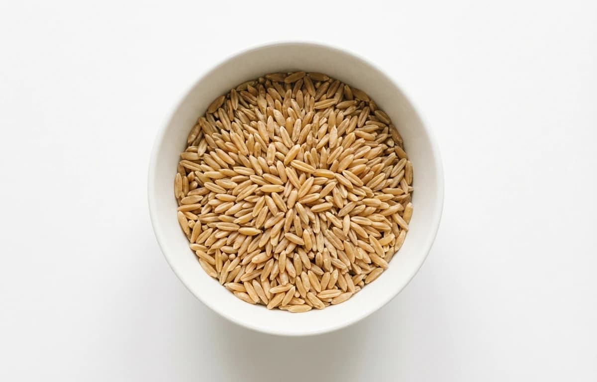 raw khorasan grain