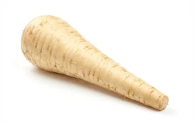parsnip