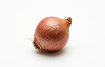 Small Shallot