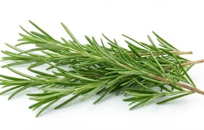 fresh rosemary