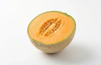 raw cantaloupe