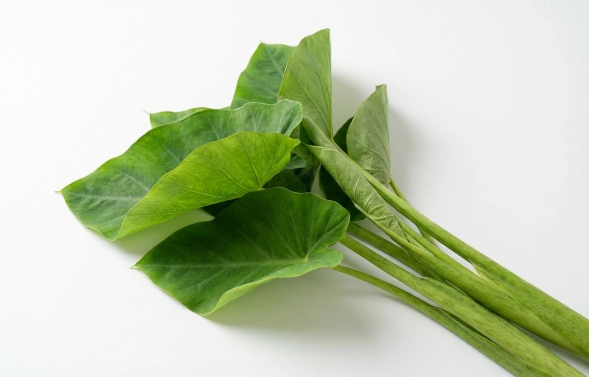 Taro Leaves and Stems
