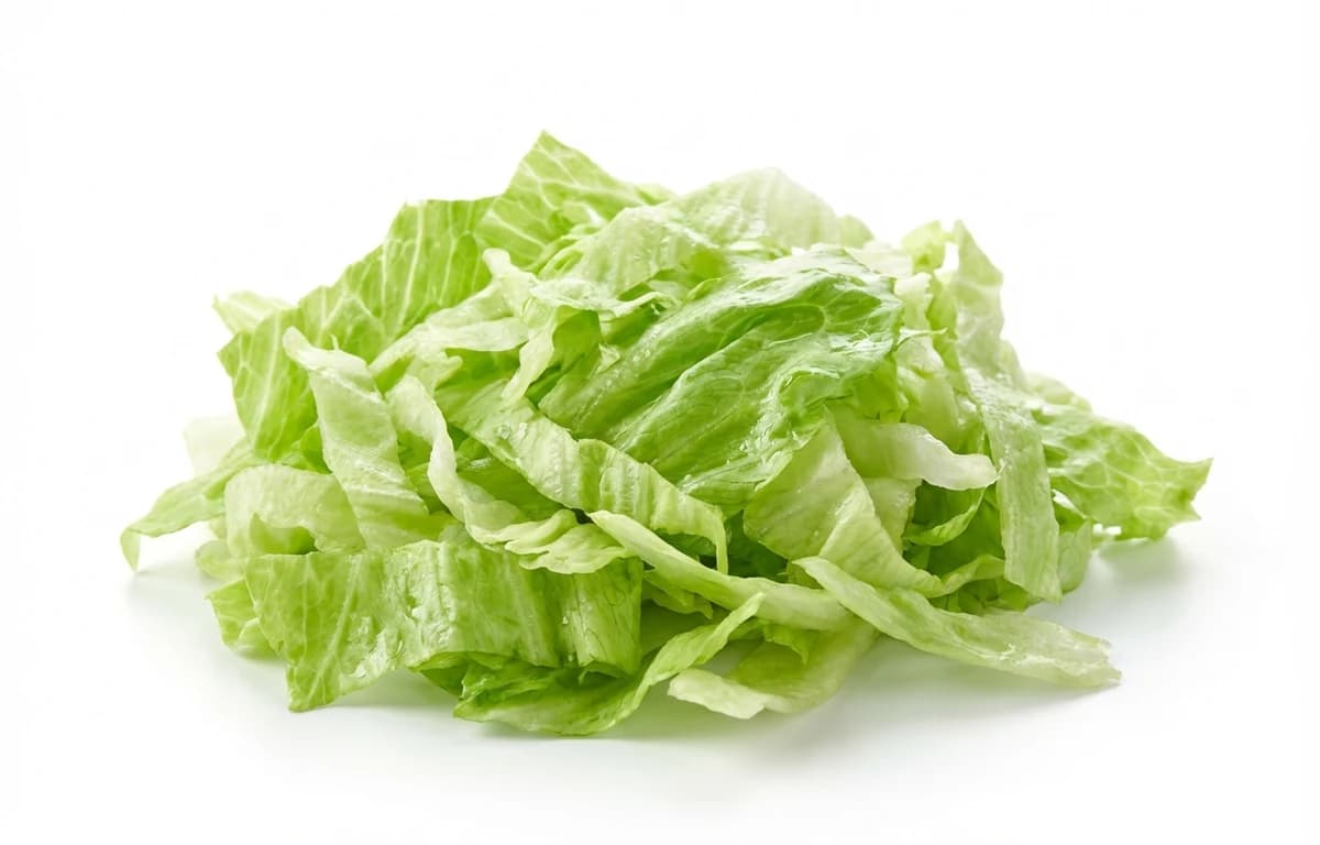 shredded iceberg lettuce