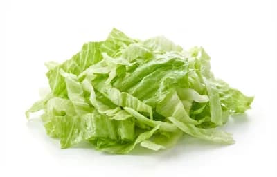 shredded iceberg lettuce