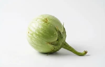 matti gulla eggplant