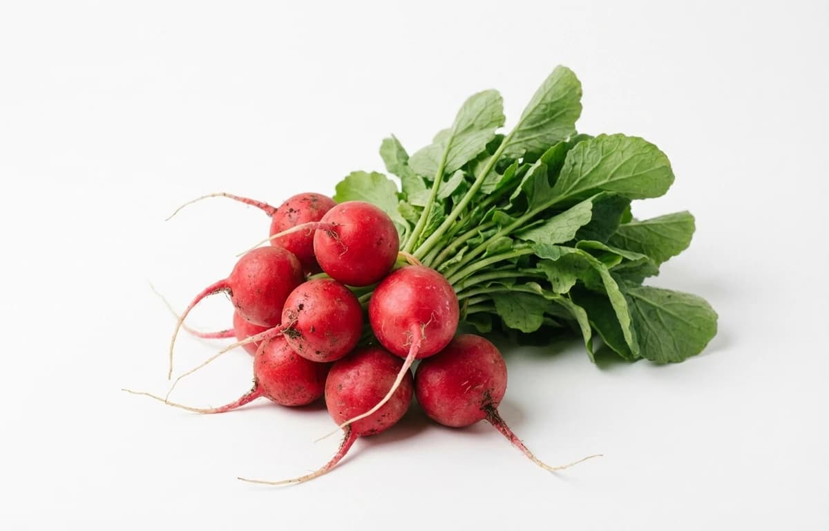 radishes