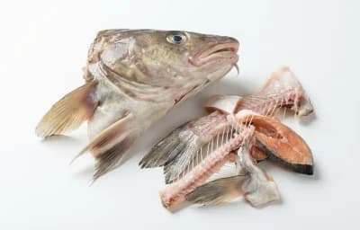 fish bones and heads