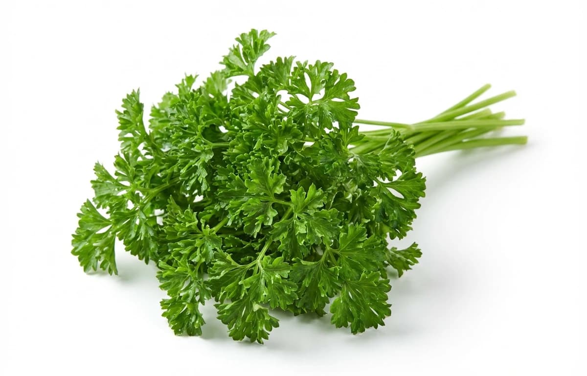 fresh parsley