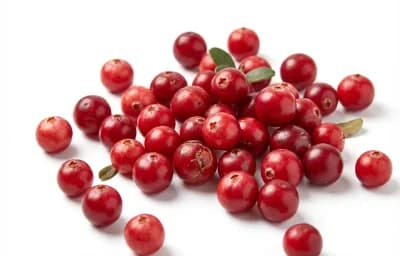 raw low bush cranberry