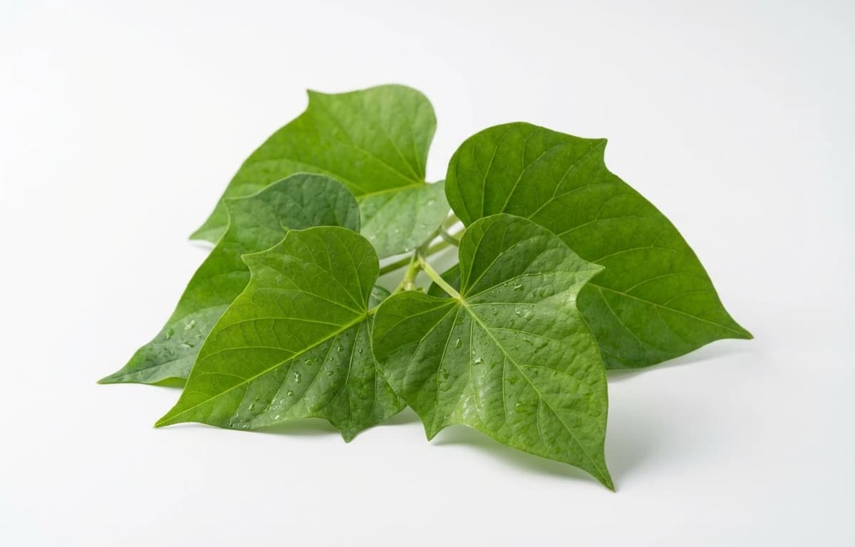 raw sweet potato leaves