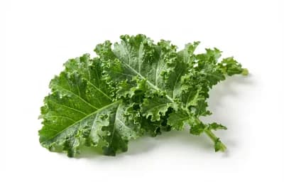 boiled unsalted kale