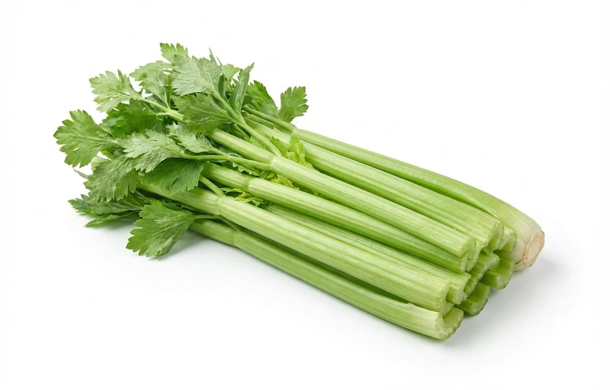 raw celery