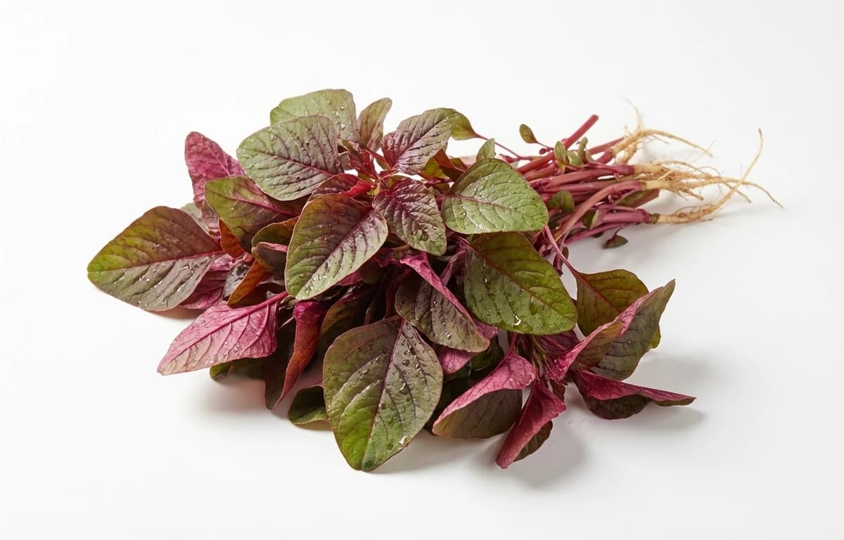 red amaranth leaves
