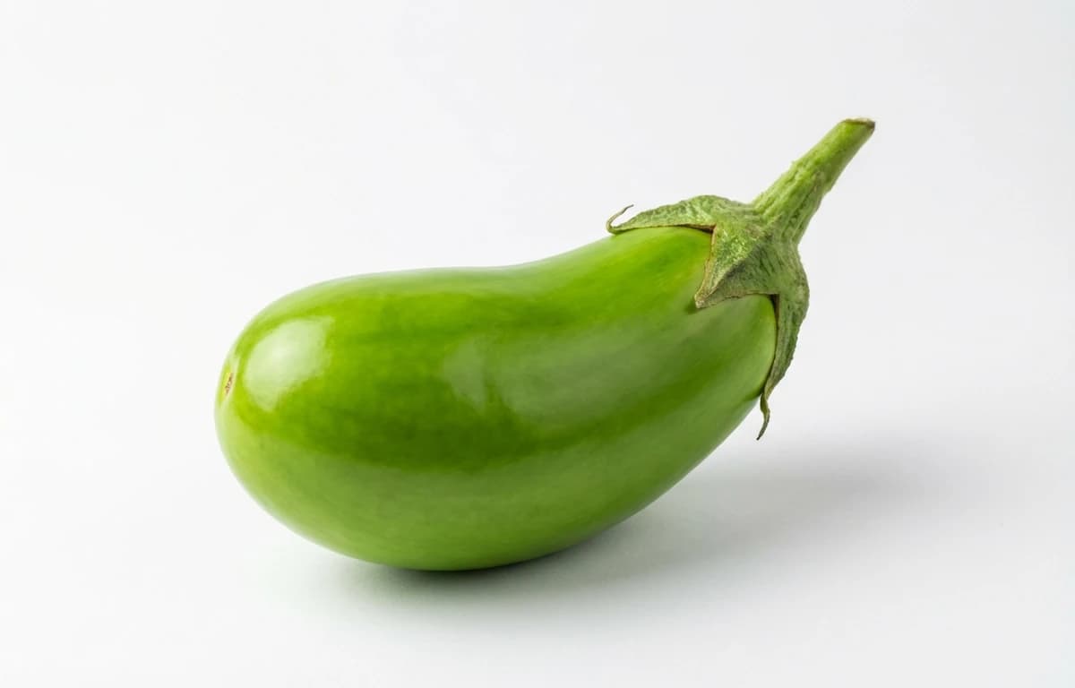 green brinjal